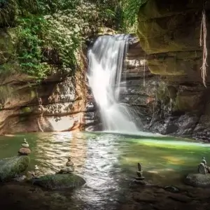 Sana - com Festa Verão e Flores
