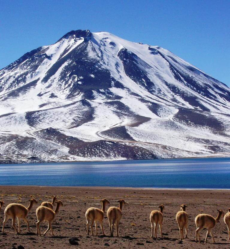 Atacama Fantástico - Com Festa de San Pedro e San Pablo