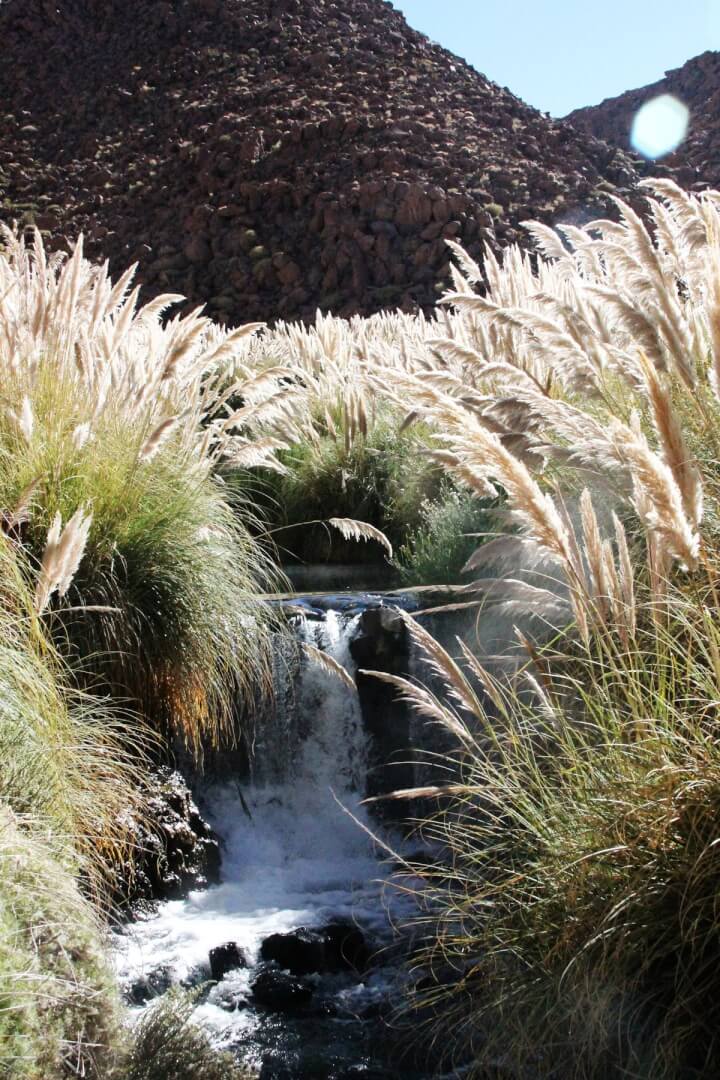 Atacama Fantástico - Com Festa de San Pedro e San Pablo