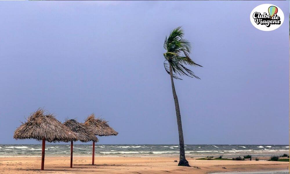 Marajó, a Região Secreta da Amazônia & Belém do Pará