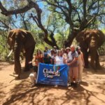 Agência de Viagens em Grupo | 