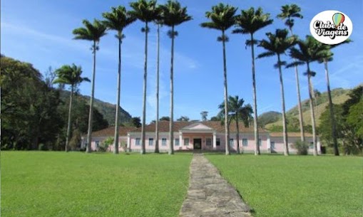 Fazenda Santa Cecília: O Encontro Épico entre Niemeyer e o Ciclo do Café