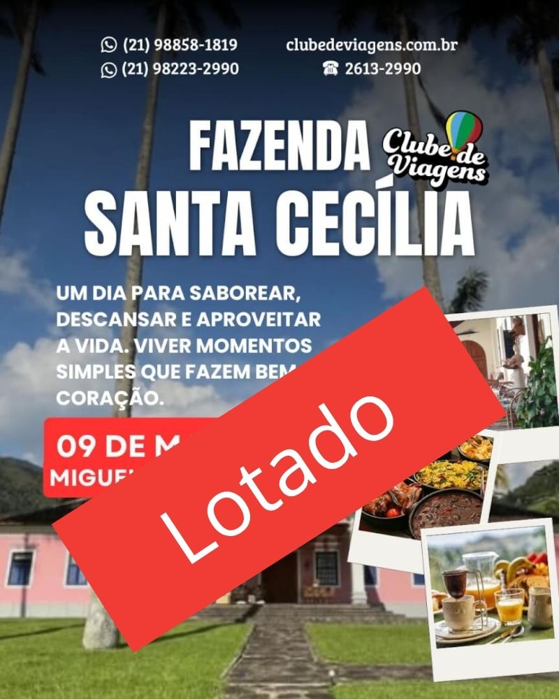 Texto do seu parágrafo