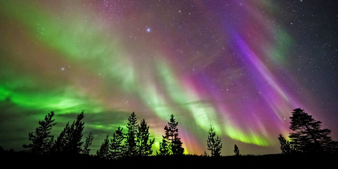 aurora 2